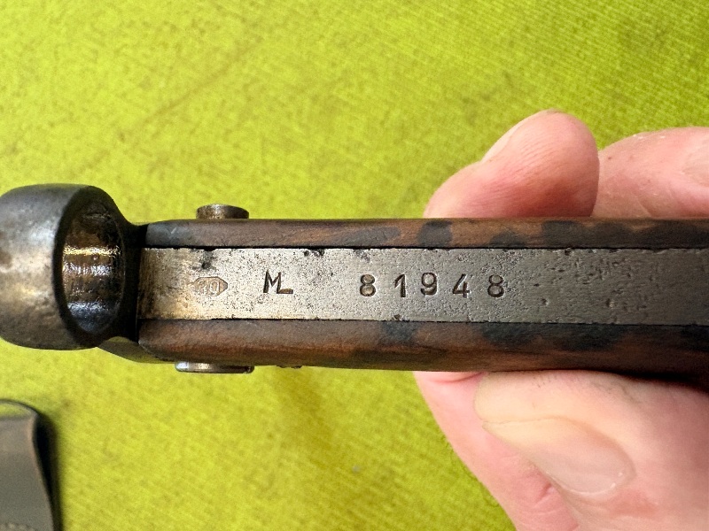 4954 (7)