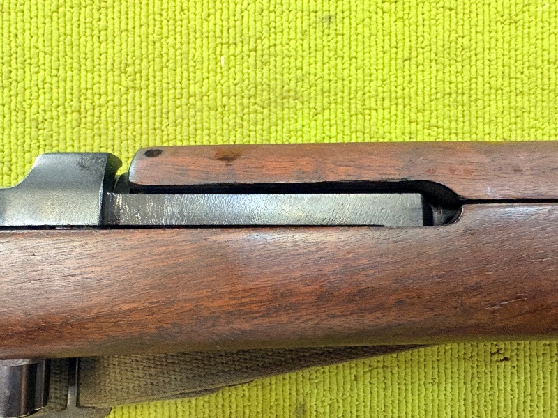 5004 (12)