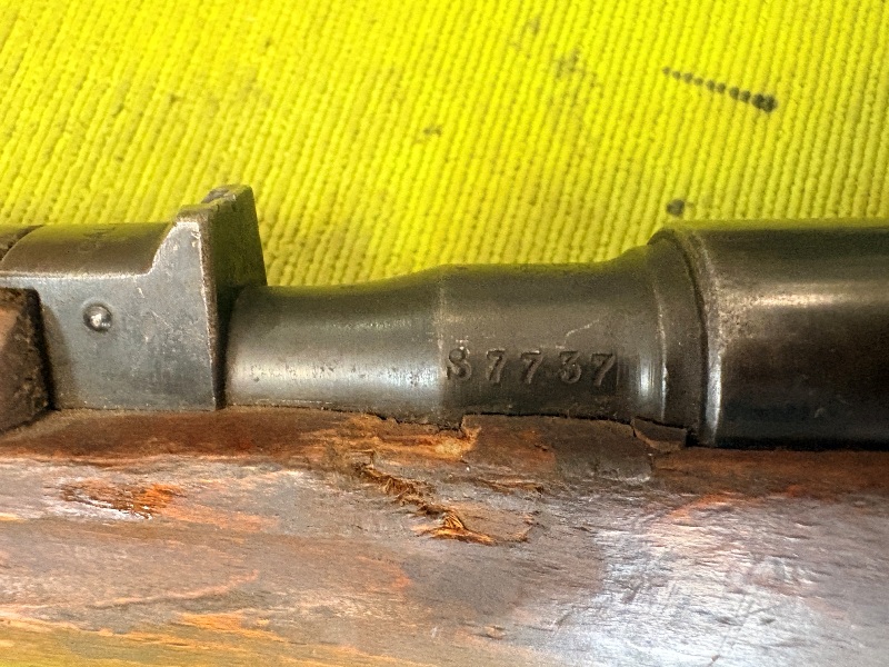 4966 (15)