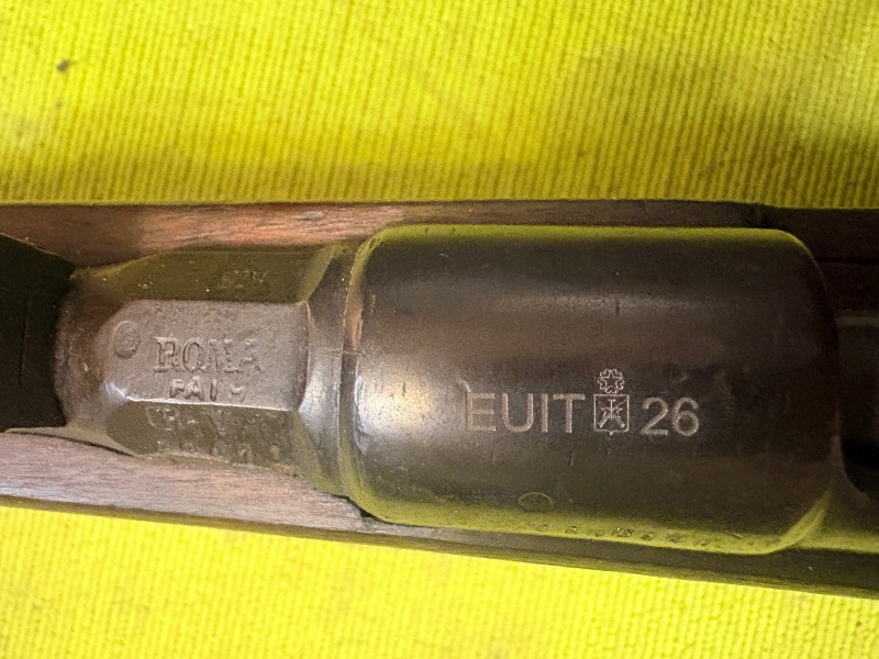 D13 (1)