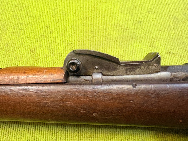 D13 (6)