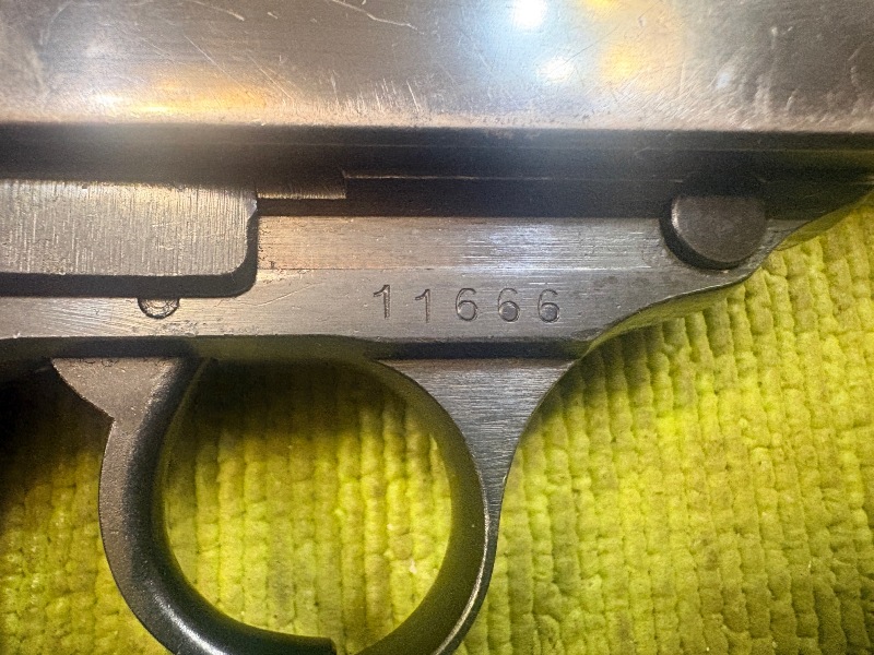 5031 (10)