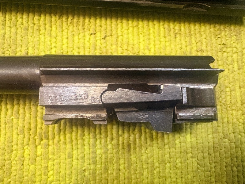 5031 (19)