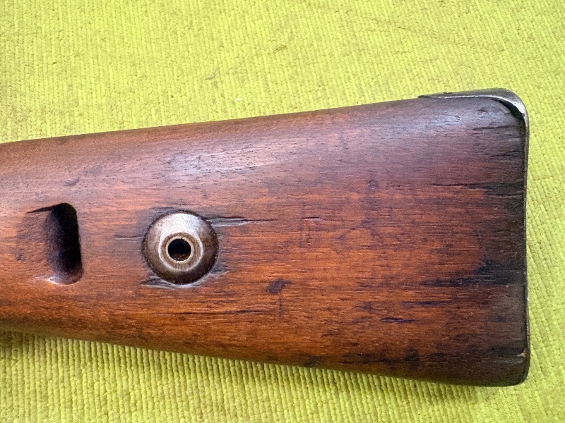 5054 (3)